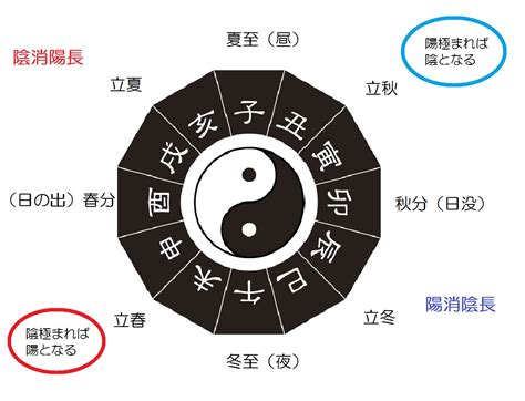 陰陽理論|陰陽論とは